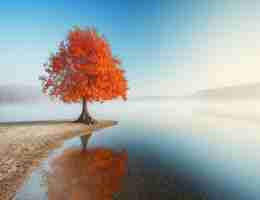 javascript技‍术​简‍介‌